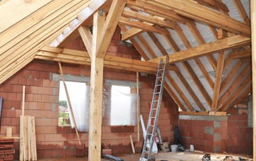 Wasps Nest attic trusses