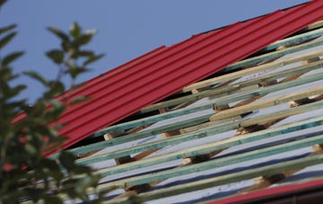Wasps Nest corrugated roofing costs