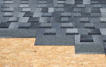 expert Wasps Nest asphalt roof companies