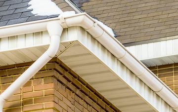 Wasps Nest fascia companies