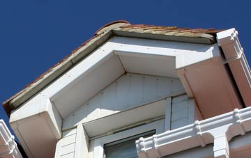 Wasps Nest fascia installation costs