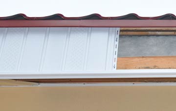 Wasps Nest fascia repair costs