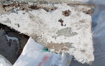 fibreglass roof repair Wasps Nest, Lincolnshire