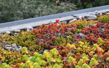 the cost of Wasps Nest green roof installation
