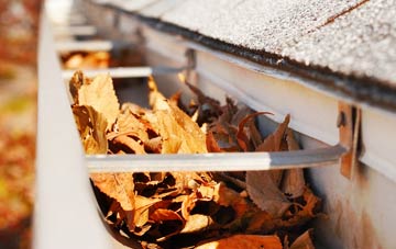 Wasps Nest gutter cleaning companies