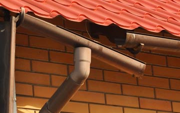 Wasps Nest gutter repair costs