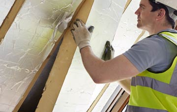 Wasps Nest loft insulation