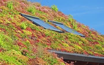 Wasps Nest living roof systems