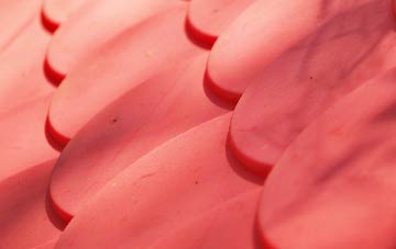 Wasps Nest plastic roof costs