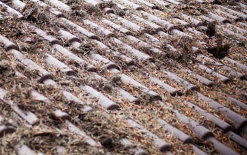 Wasps Nest roof cleaning companies