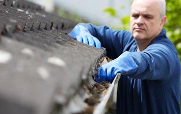 cleaning and inspecting Wasps Nest roofs