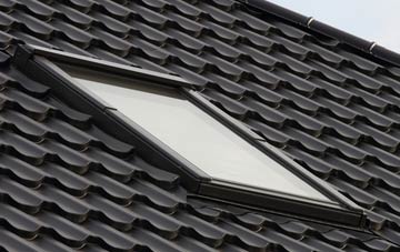 benefits of Wasps Nest roof windows