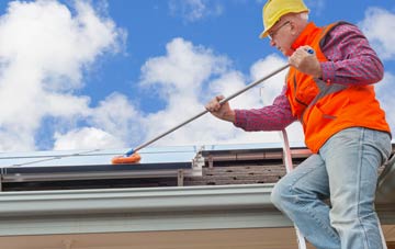 Wasps Nest soft wash roof cleaning