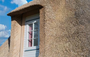 Wasps Nest thatch roof disadvantages
