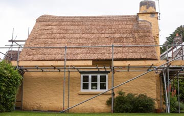 Wasps Nest thatch roofing costs