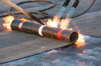 free Wasps Nest roof quotes