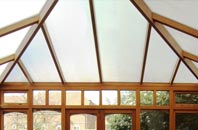Wasps Nest conservatory repair companies