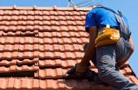 Wasps Nest urgent roof repairs