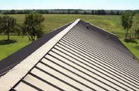 Wasps Nest metal roof quotes