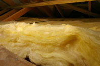Wasps Nest pitch roof insulation