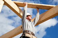 Wasps Nest roof replacement work