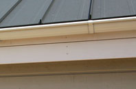 Wasps Nest soffit repair