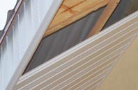 rated Wasps Nest soffit repair companies